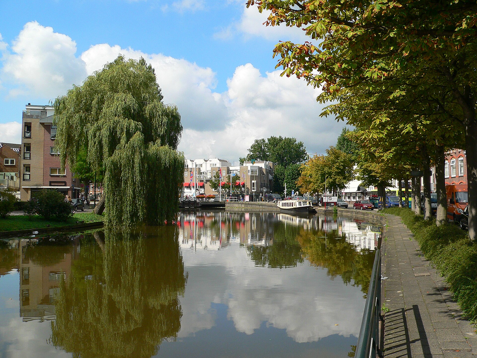 Gouda
