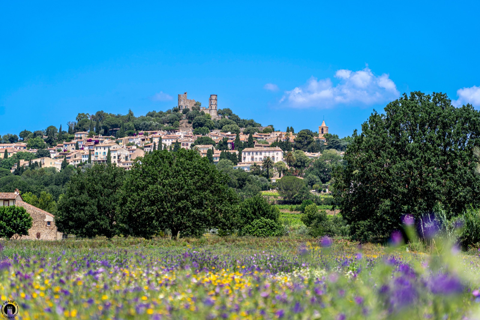 Grimaud